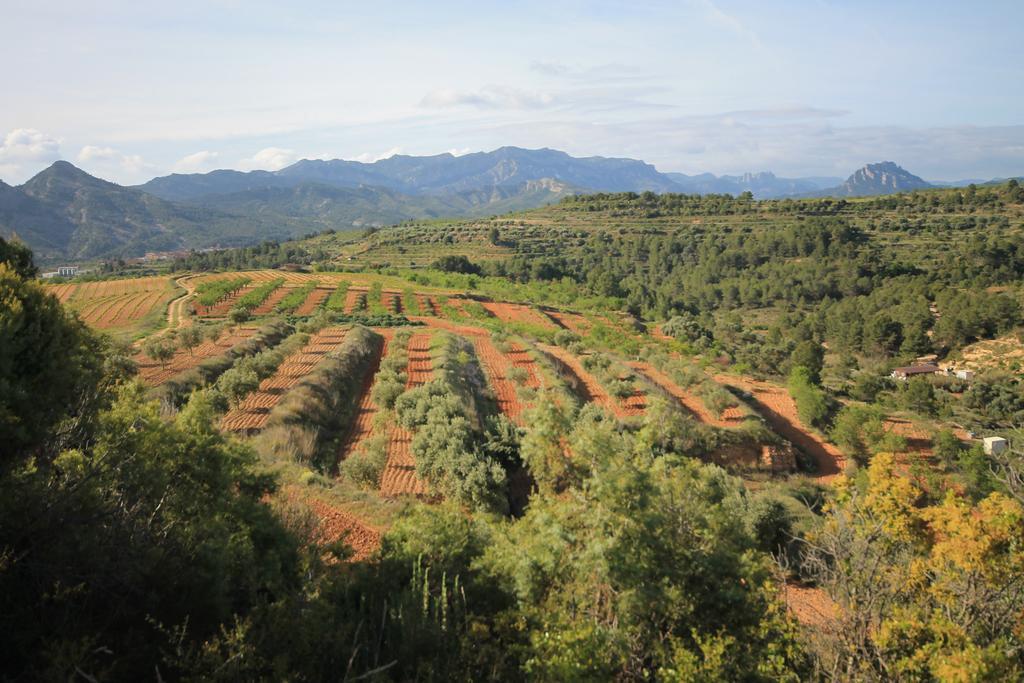 Cal Tomas, Ecoturisme Terra Alta Bot Exterior foto